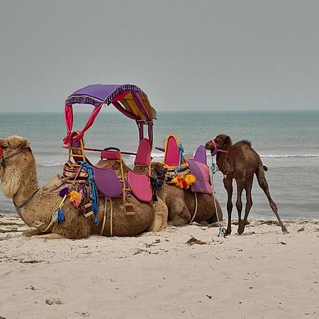 Hotel Dar El Kahina Djerba Mezraia Esterno foto