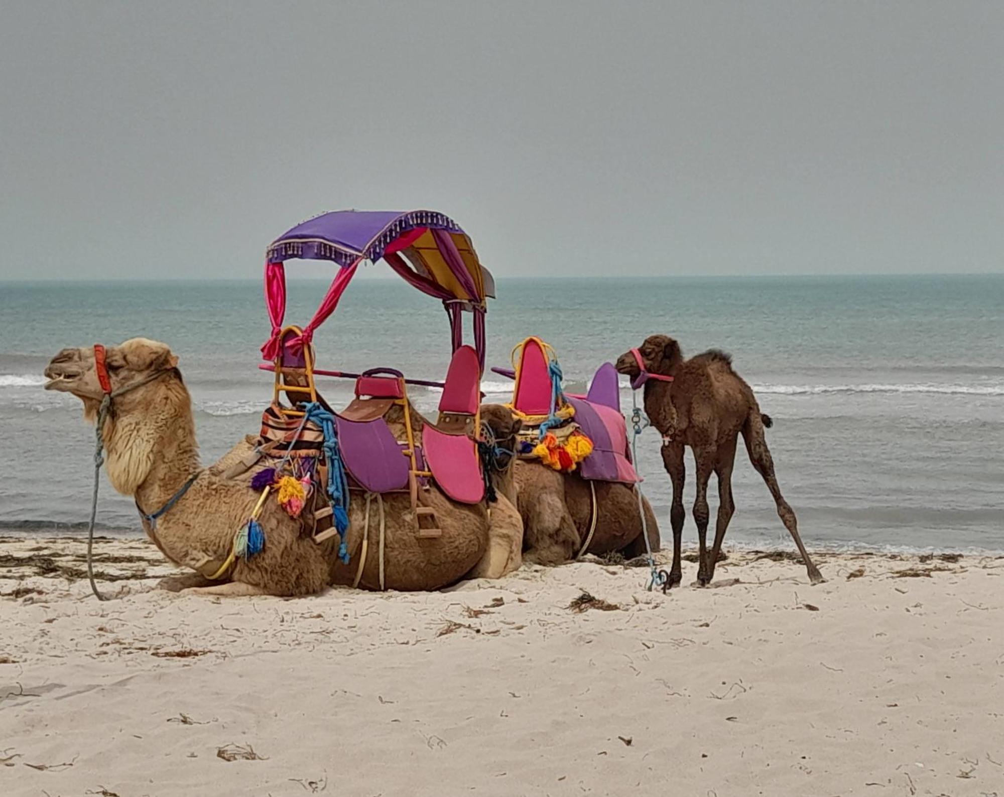 Hotel Dar El Kahina Djerba Mezraia Esterno foto