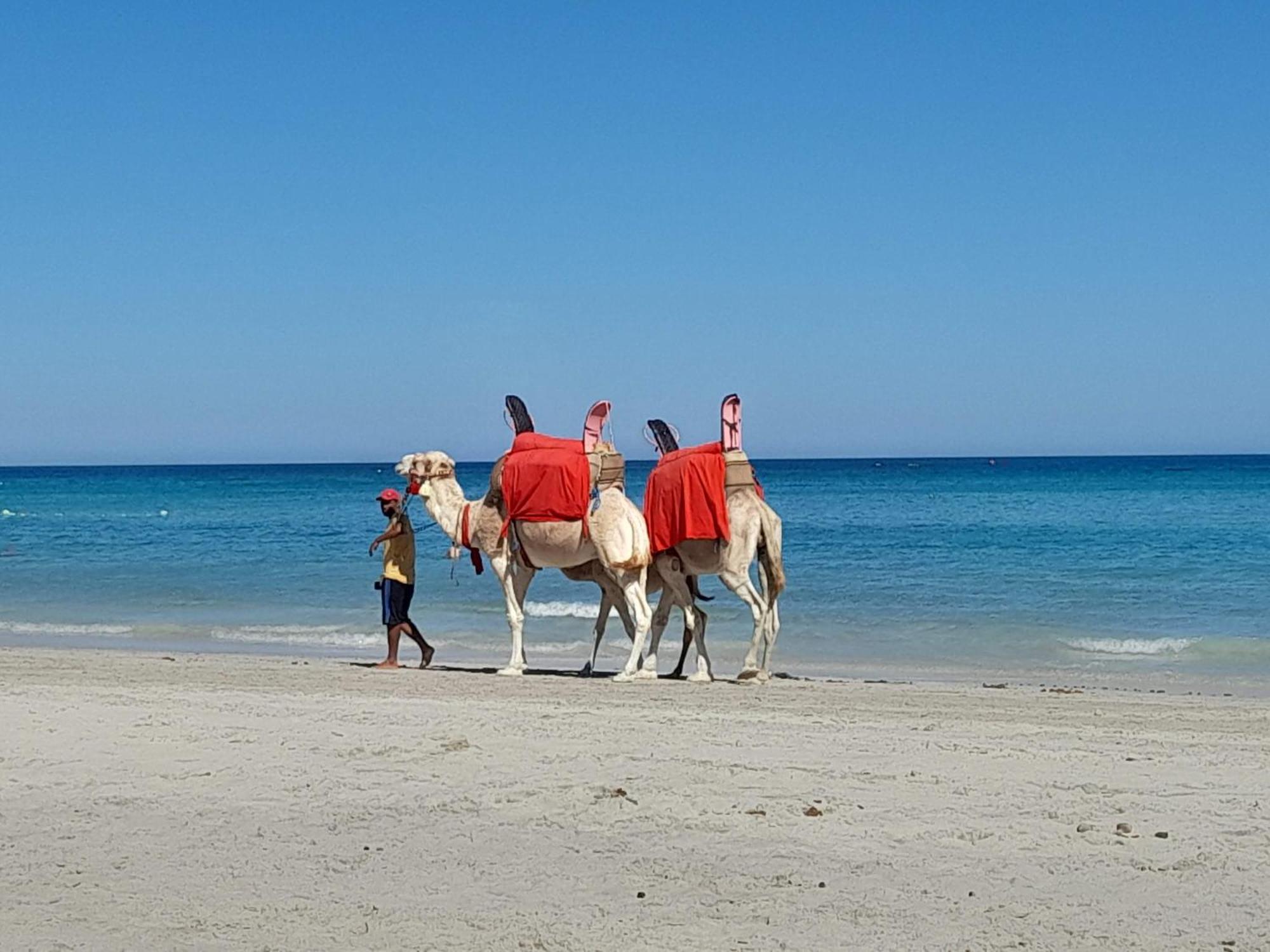 Hotel Dar El Kahina Djerba Mezraia Esterno foto